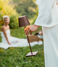 Zafferano Poldina Pro