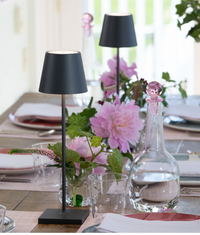 Zafferano Poldina Pro